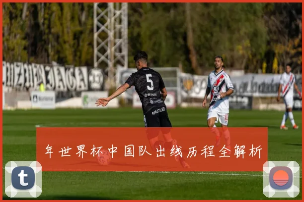年世界杯中国队出线历程全解析