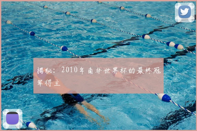 揭秘:2010年南非世界杯的最终冠军得主
