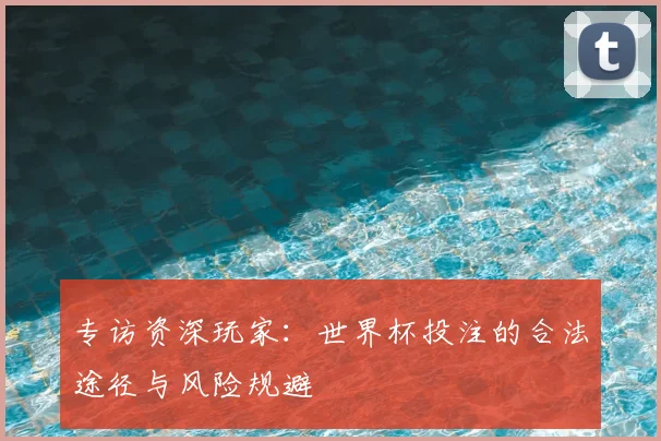 专访资深玩家：世界杯投注的合法途径与风险规避