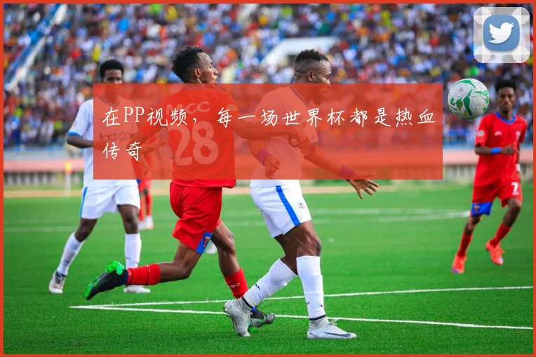 在PP视频，每一场世界杯都是热血传奇