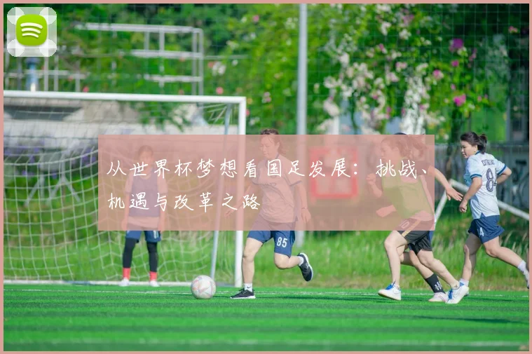 从世界杯梦想看国足发展:挑战、机遇与改革之路