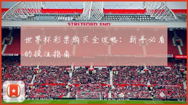 世界杯彩票购买全攻略:新手必看的投注指南