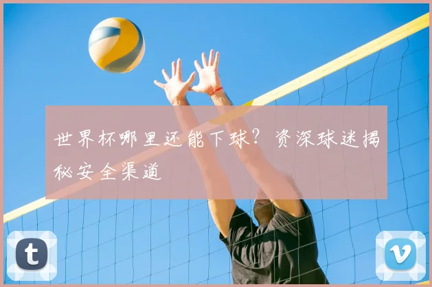 世界杯哪里还能下球?资深球迷揭秘安全渠道