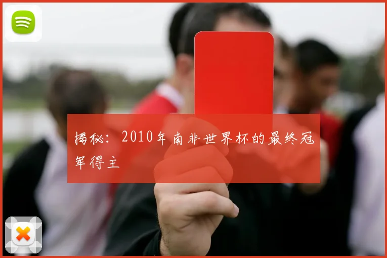 揭秘:2010年南非世界杯的最终冠军得主